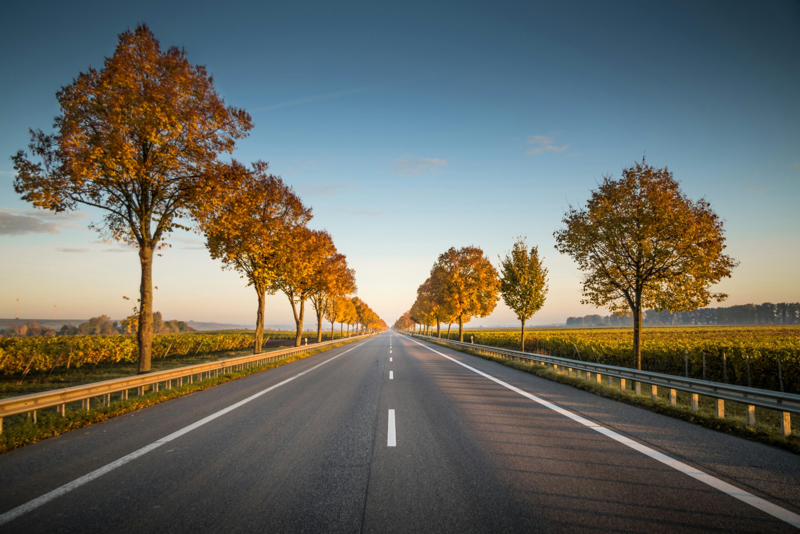 Route qui passe par les champs