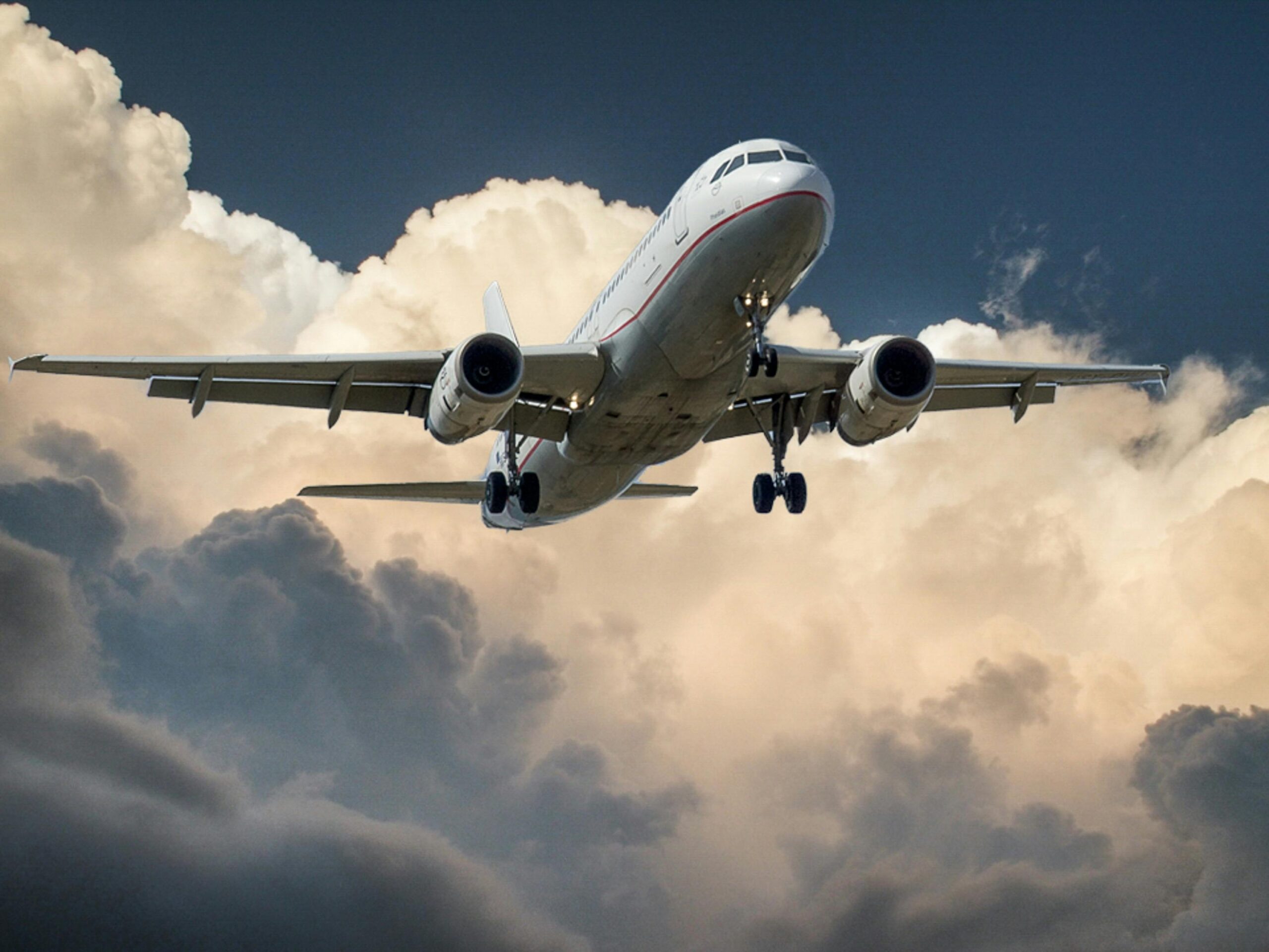 Avion en vole